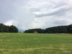 2016-07-28_10-13-16_EE3C787C-4589-4860-AD36-3C24725ED6B1.jpg