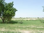 19165P1010011.JPG