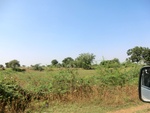 41254CIMG8091.JPG