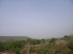 3796RIMG0100.JPG