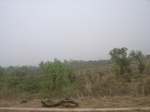 3924RIMG0228.JPG