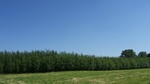 2016-07-25_03-26-55_DSCF1480.JPG