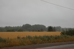 2022-05-26_15-09-41_B51403AB-2704-4C16-B2E0-48438F144E90.jpeg