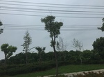 2017-09-10_07-06-58_0539B03E-3E10-448D-8B4B-01755A708E85.jpg