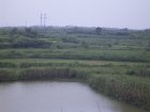 800R0015371_small.jpg
