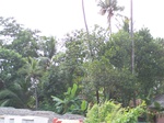 542410052008(32).JPG