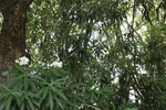 2025-07-15_16-18-58_F5743E1C-AD16-490E-9FE2-000556EBC7A4.jpeg