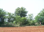 17330100_2016.JPG