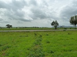 18847P1000687.JPG