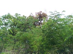1794727042008(79).JPG