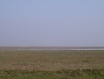 4568RIMG0020.JPG