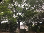 2017-09-10_06-44-33_E8B0A1A9-5700-4436-A9C8-DA9F6B7ACEC9.jpg