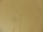 58461CIMG2911.JPG