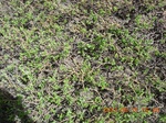2012-09-27_14-25-47_270.JPG