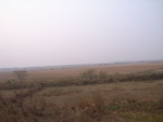 4683RIMG0138.JPG