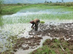 2012-09-07_10-00-16_CIMG6608.JPG
