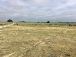 2017-07-12_13-50-01_9385E26D-7F38-4518-B694-3580214E0158.jpg