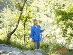 11260gt079-forest-2.jpg