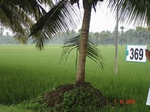 133170369c-irrigated-canal-rice-doublecrop-greengram-blackgram-thirdcrop.gif