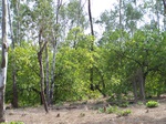 497019042008(67).JPG