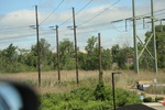 2022-06-12_15-25-23_007015CE-1F73-47CD-8702-7DE863E5C7DD.jpeg