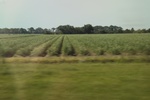 2022-06-12_15-03-53_A8AC2B6C-8797-4602-AFED-3407A7E0D80C.jpeg