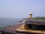 1333R0015116_small.jpg
