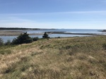 2018-09-05_12-24-56_86E268BF-6AED-47D9-A05C-4C805AED6E09.jpg