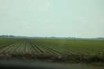 2022-05-26_14-16-12_7508D30C-2D6D-4DA4-8DDF-B170F42EB5CB.jpeg