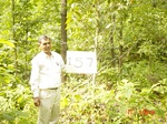 6716gt157-forest-1.jpg