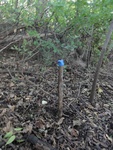 2012-09-24_10-40-24_DSC03053.JPG