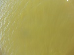 2012-09-21_14-26-17_CIMG3156.JPG