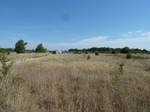 39266P1070930.JPG