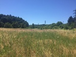 2017-07-05_15-39-42_S.jpg
