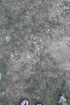 2020-07-19_17-32-50_2020-7-19-15-54-22.jpg