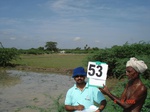 6284053b-irrigated-supplemental-rice-dominant-singlecrop.jpg