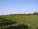 439320071010gps 038.jpg
