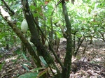 20592P1020449.JPG