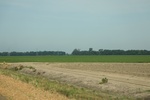 2022-05-26_14-36-51_086517E3-0767-44F5-BC8C-47634C8820FE.jpeg