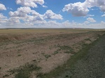 36448CIMG0217.JPG