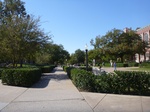 39512P1010128.JPG