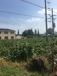 2017-09-12_14-04-47_D36099FD-650B-4D0D-B9EE-35AF86145B7E.jpg