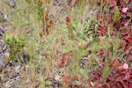 2018-07-06_15-56-15_2018-06-08 18.21.17.jpg