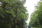 2018-04-14_14-44-56_2017-06-26 23.31.17.jpg