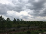 2017-09-02_05-53-19_6A37CB16-8809-4EFE-B6FE-396740F407BD.jpg