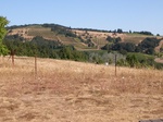 2020-05-28_13-27-04_2012-09-01_Erratic_RockN.JPG