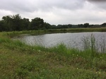 2017-05-27_09-23-42_2017_05_27 Pond_01 15915 CR 668 Blue Ridge TX 75424.jpg