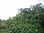 4059RIMG0363.JPG