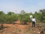 7800gt038b-shrublands-dense.jpg