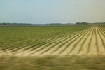 2022-05-26_14-15-50_D466ED85-7506-444F-AE94-8E715123F634.jpeg